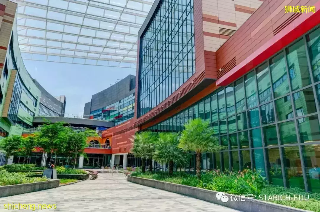 2022年5月IB大考成绩公布!哪所学校全员40分以上