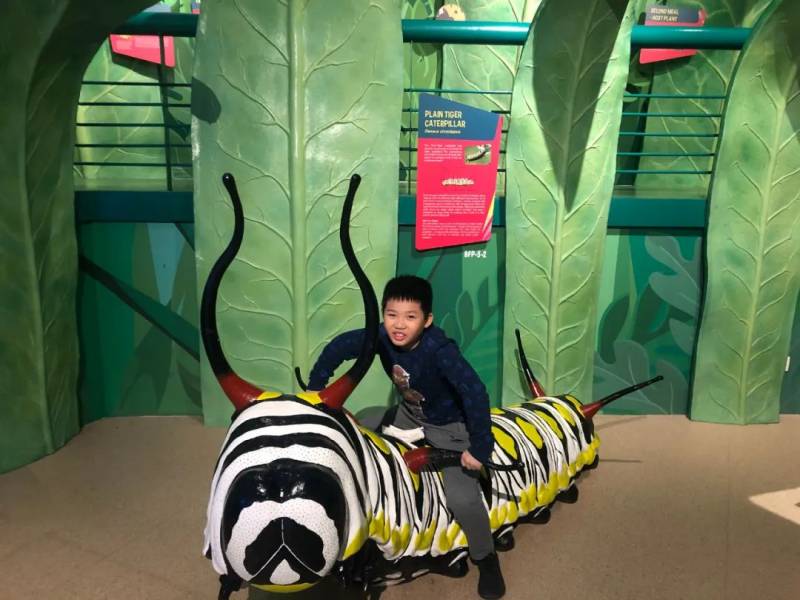 活埋、激光、雪域、遨遊宇宙……我去了新加坡最瘋狂的地方，還想再去