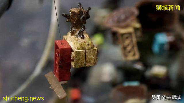 佩服新加坡科学家的脑洞！未来海洋或是“乐高”拼出的珊瑚世界