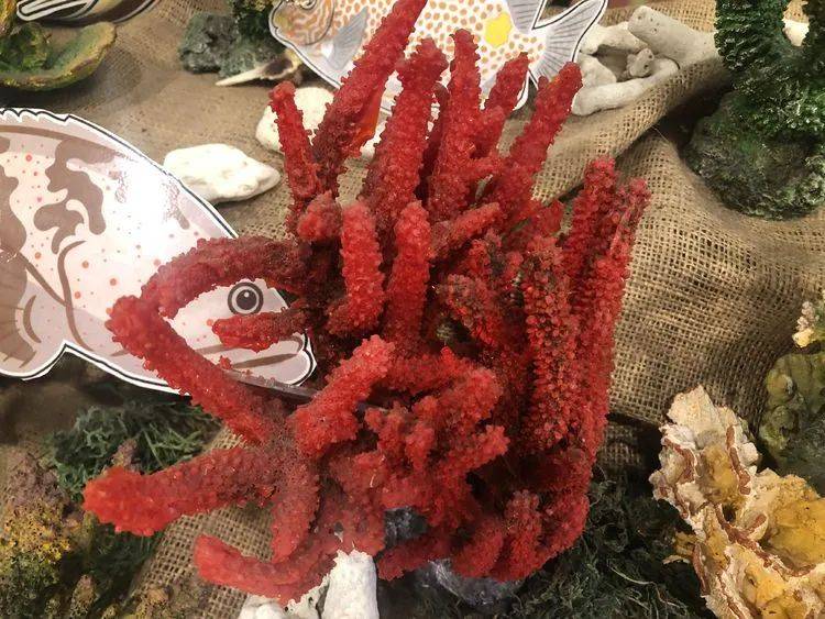 精彩国内游:新加坡南部岛屿休闲之旅