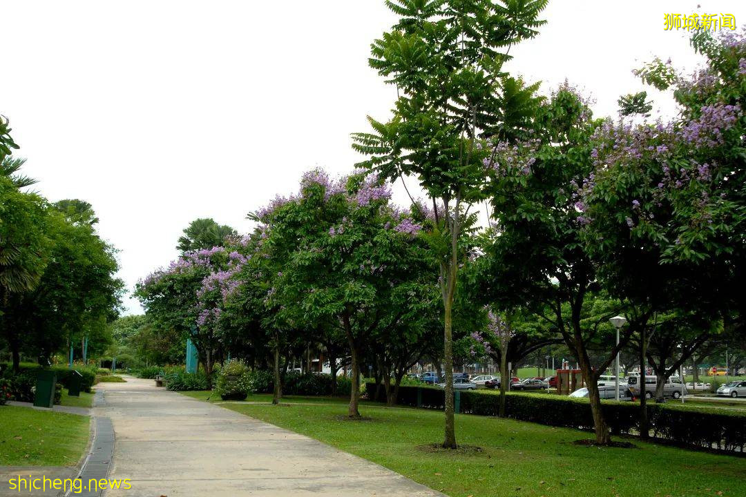 目标2030年!新加坡西海岸地区将新增更多绿化空间