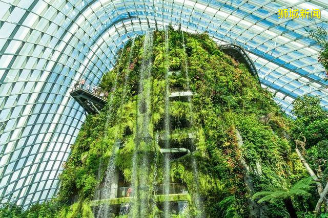 多味缤纷新加坡