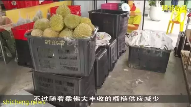 榴梿价格回升 摊贩：父亲节将需求推高15%