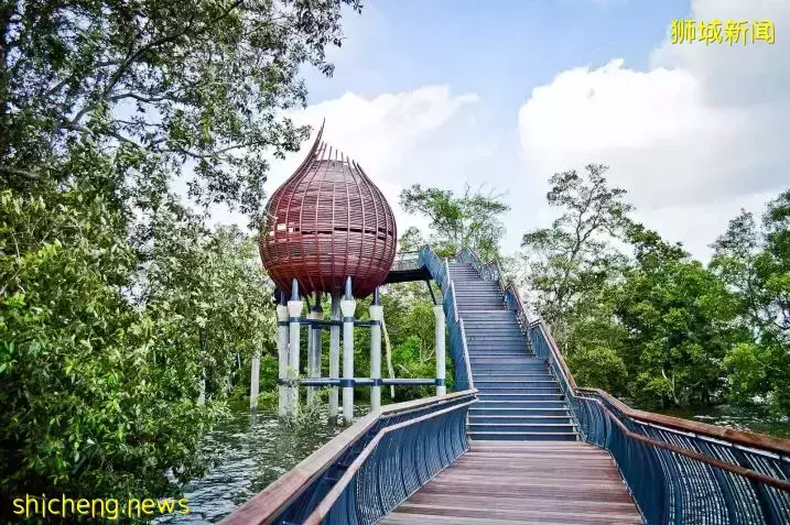《即刻随心所想，心想狮城》新加坡生态游系列2