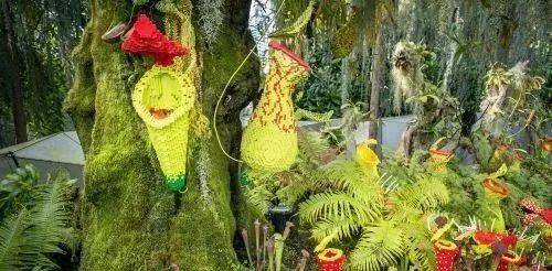 狮城-新加坡（旅游攻略）