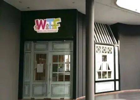 新加坡狗咖合集，快來被治愈吧