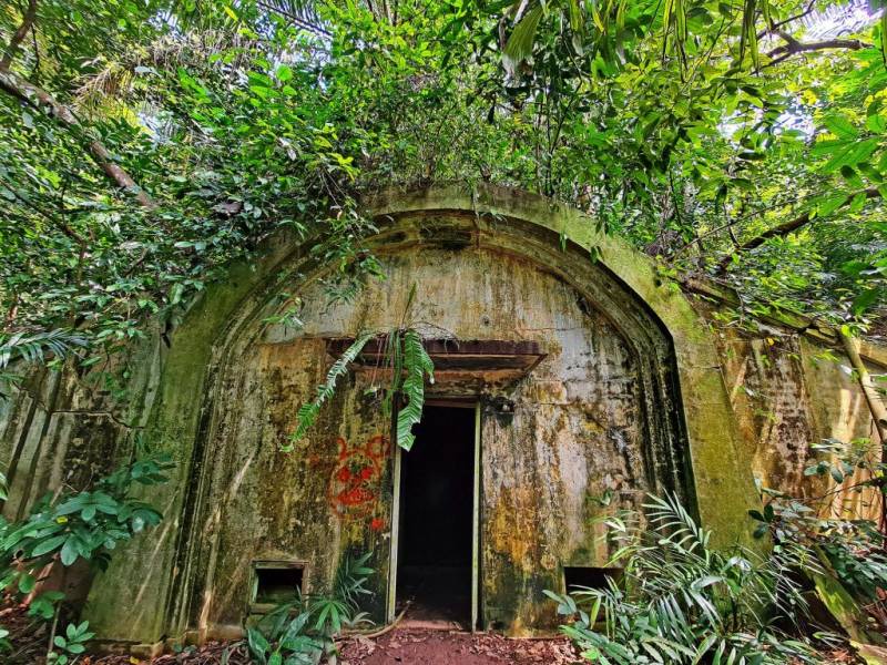 新加坡探险基地🧭 被遗弃的地堡！殖民期保留至今，岁月沧桑+攀藤弥漫的历史遗迹