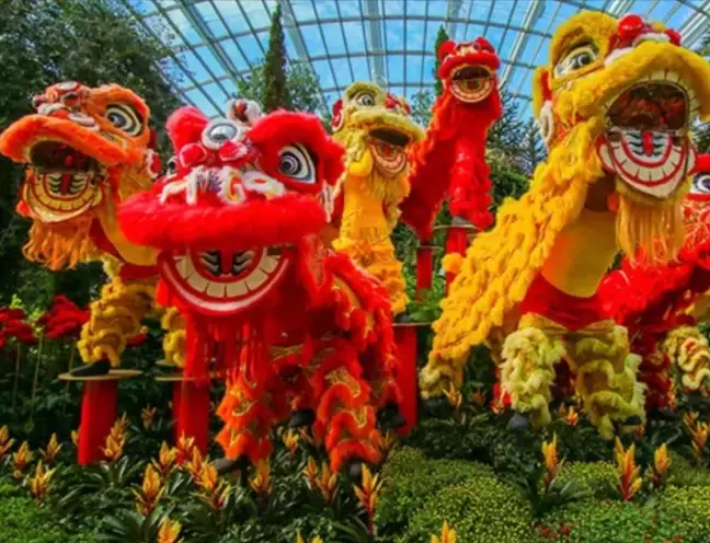 【周末去哪】$1鮑魚,3折海鮮,璀璨藝術節,猛男泰式火鍋,新年禮品合集