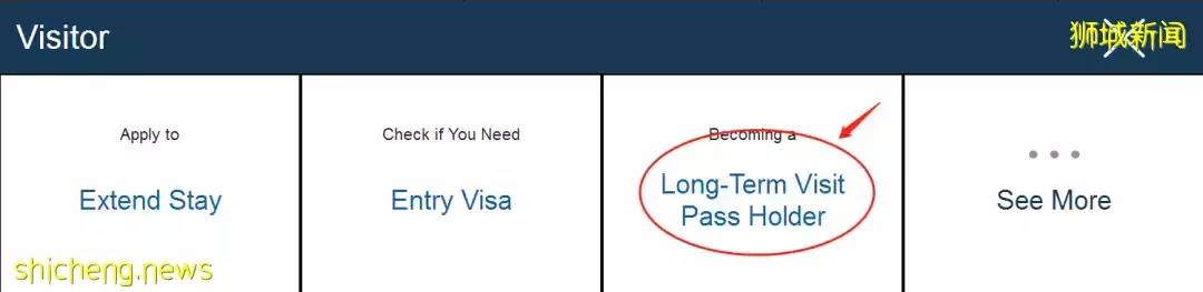 新加坡 低龄留学不担心,陪读签证帮助你