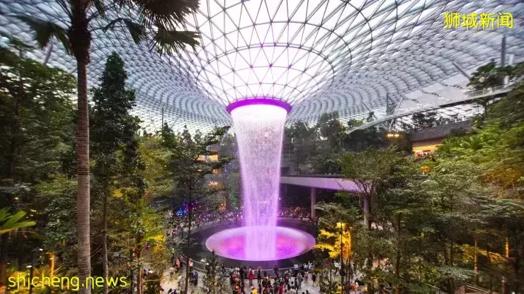 狮城研究：多吃和吃更多种类蔬果，可减少晚年得认知障碍