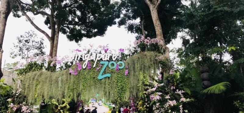 新加坡旅行分享之市区