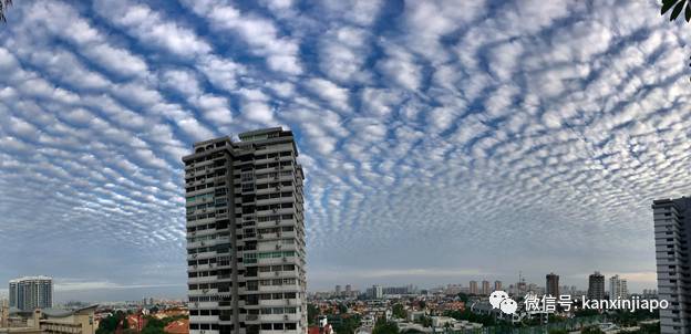 “地震雲”昨早刷爆朋友圈！很少看過這麽“怪異”的朝陽