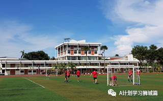 新加坡初级学院按A级成绩排名（2020）