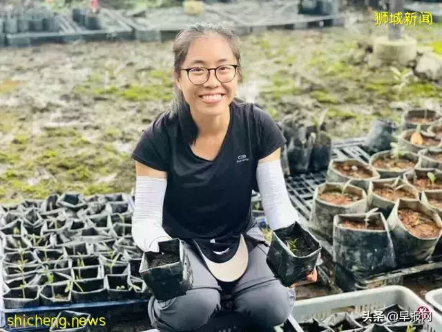 新加坡女大學生爲何要培育沼澤海茄冬樹苗