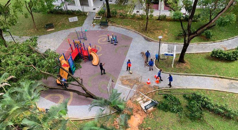 “天上掉大树”，砸坏新加坡儿童游乐场