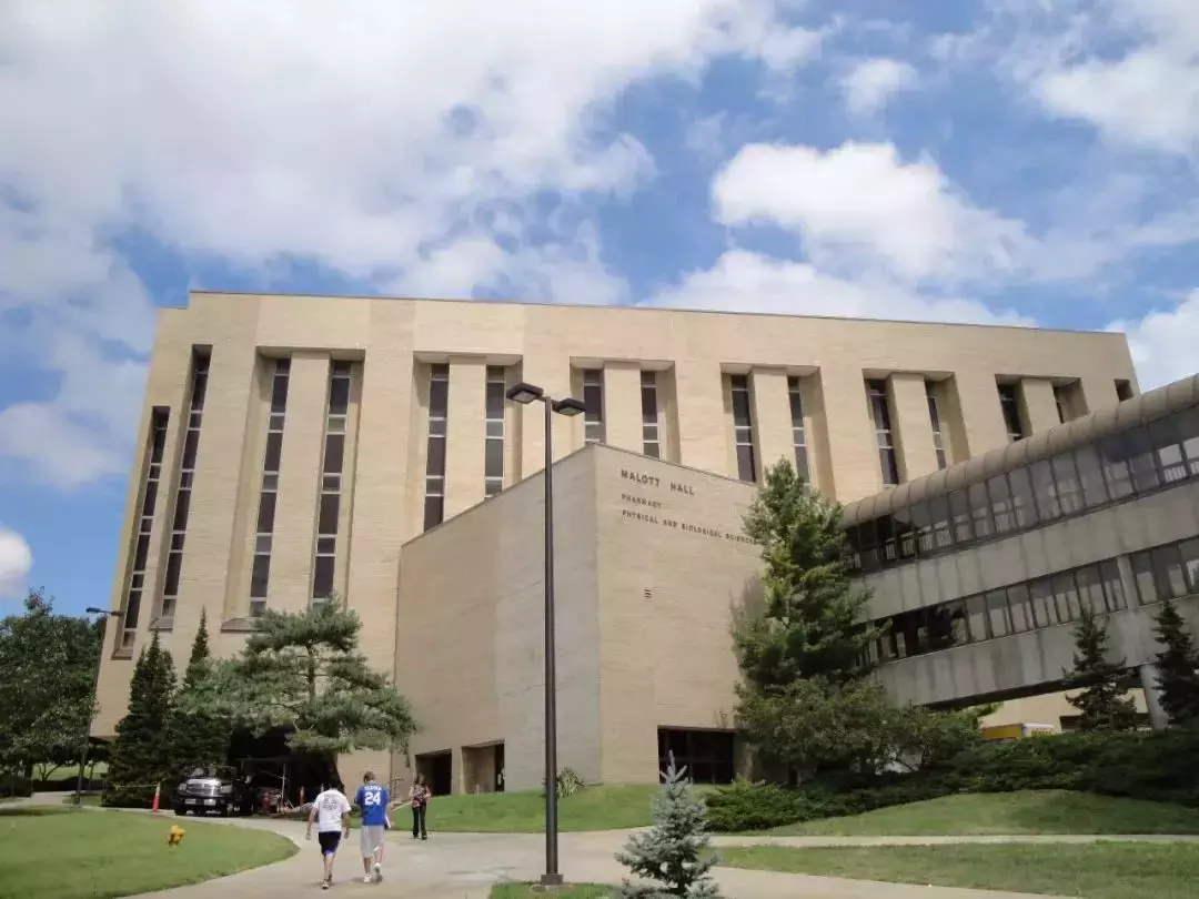 新加坡O水准放榜，英美名校，澳洲八大，如何申請