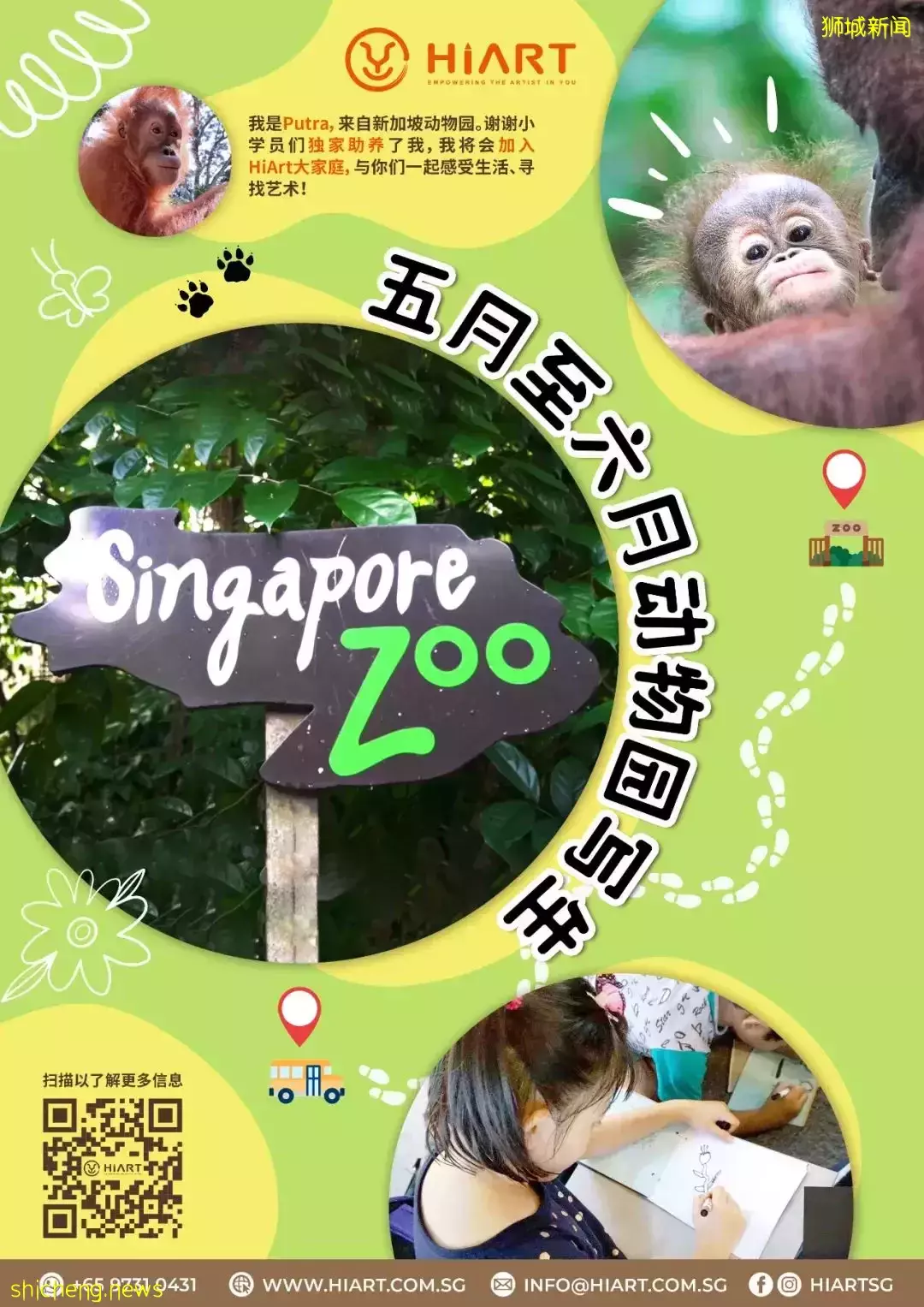 僅$99!做猩猩助養員、近距離寫生,在新加坡竟然有這麽有意義的假期營