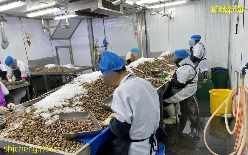 非法加工和冷藏逾7000公斤生鲜食品 运营商被令暂停销售