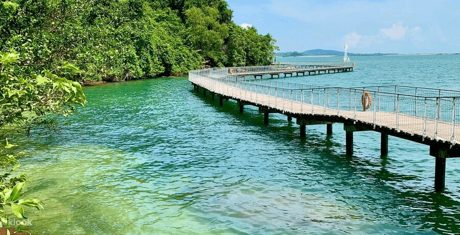 榴梿、野猪、猴子、各种鱼蟹……体验“新加坡最后的农村”