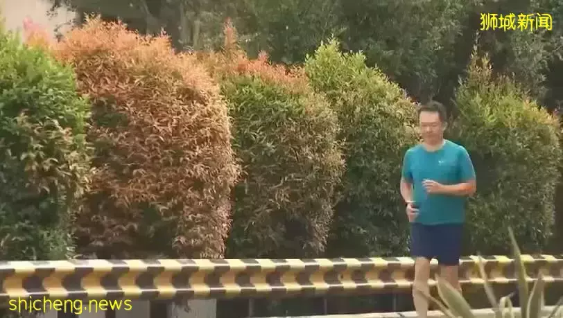 疫情期间新加坡许多人少动多吃，长出了“疫情肥”