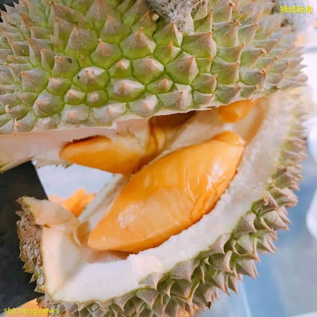 今年最后一波榴梿季!邻国大丰收,下个月猫山王或降至12元/KG