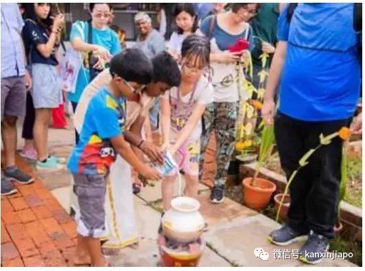 新加坡也过“丰收节”,地道印度族风情就近体验指南