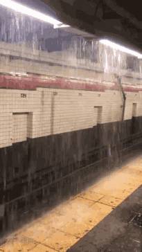 剛剛！新加坡在這方面超過美國和中國，全球第一！美國總統發帖表示不服