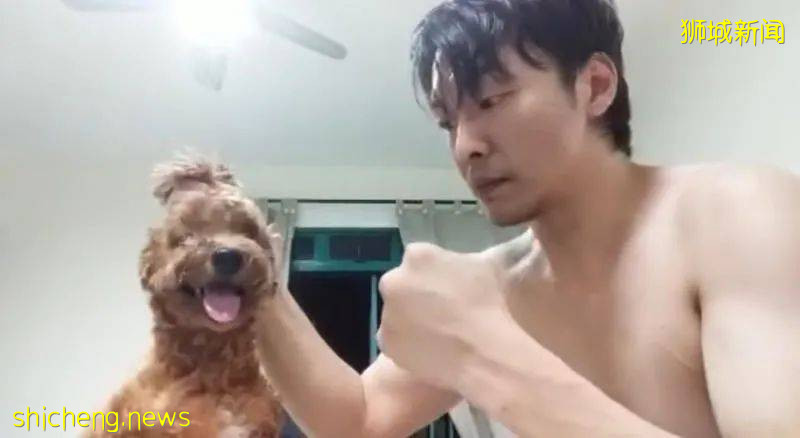 自拍残暴虐狗视频 男子遭严惩监8月