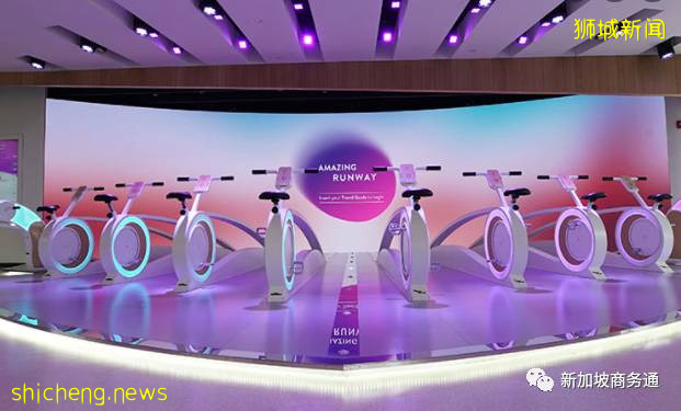 最新总结 新加坡周末溜娃绝好去处