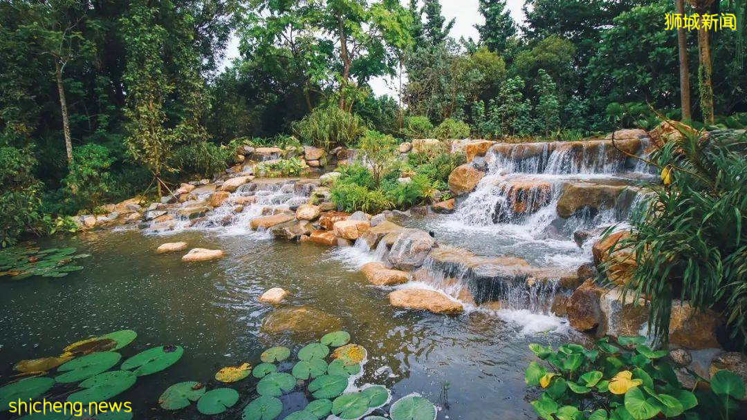 實拍!濱海灣花園新景點+聖淘沙首個“天空喜立”開放
