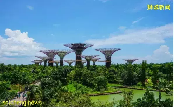 新馬已全面對外開放，帶你穿越新馬邊境最新攻略