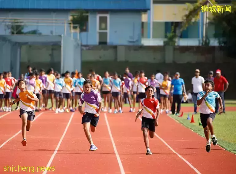 史上最強攻略!在新加坡如何選學校?國際學校vs政府學校,哪個好