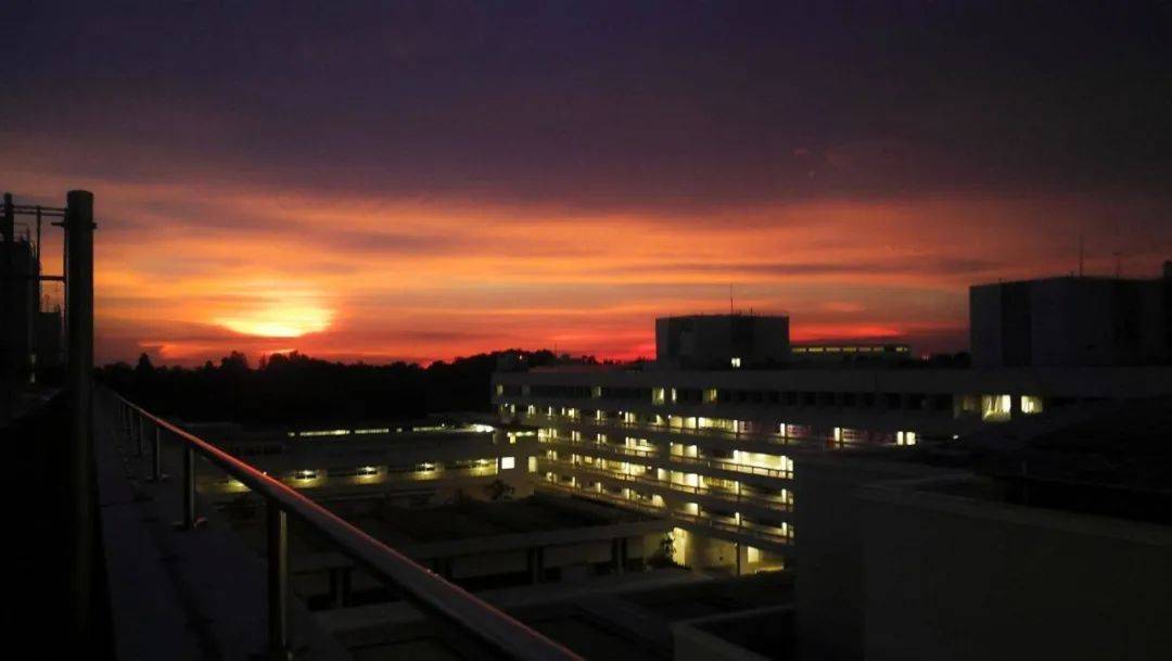 南洋理工大學，每一幀都很美