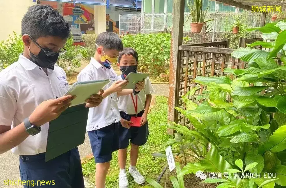 取消年中考试的新加坡如何维持高质量教育