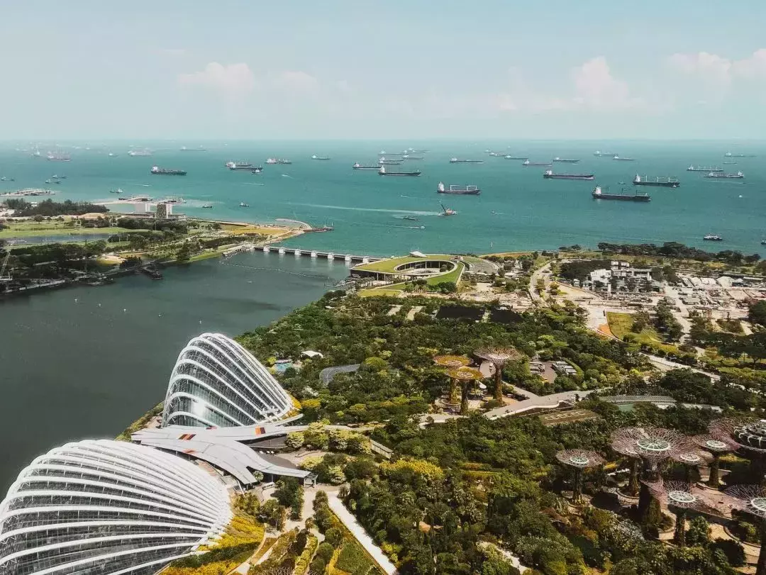 新加坡留學 出國留學人數突破70萬人！新加坡成了留學新選擇