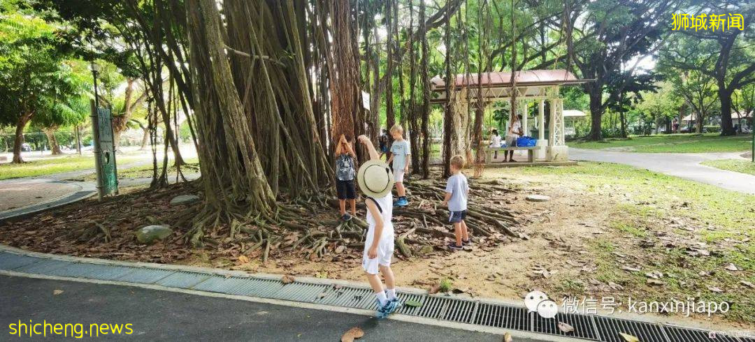 新加坡小众遛娃好去处,吃喝玩乐一应俱有