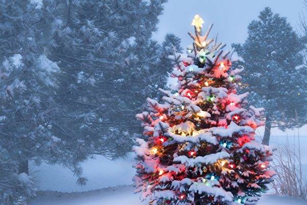 让我们提前来感受一下今年乌节路的圣诞主题吧