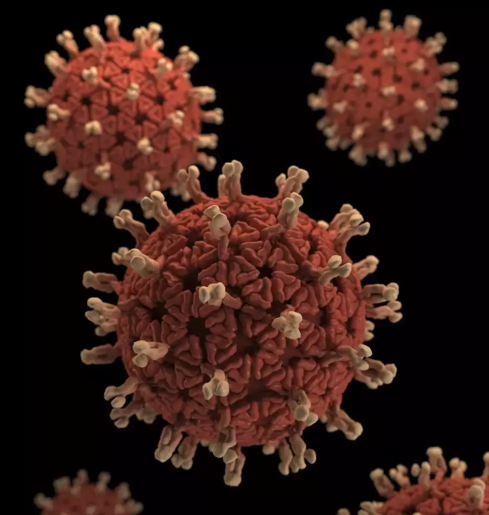 突發新政！新加坡對所有國家增加入境要求，包括中國！曝奧密克戎可1傳50人