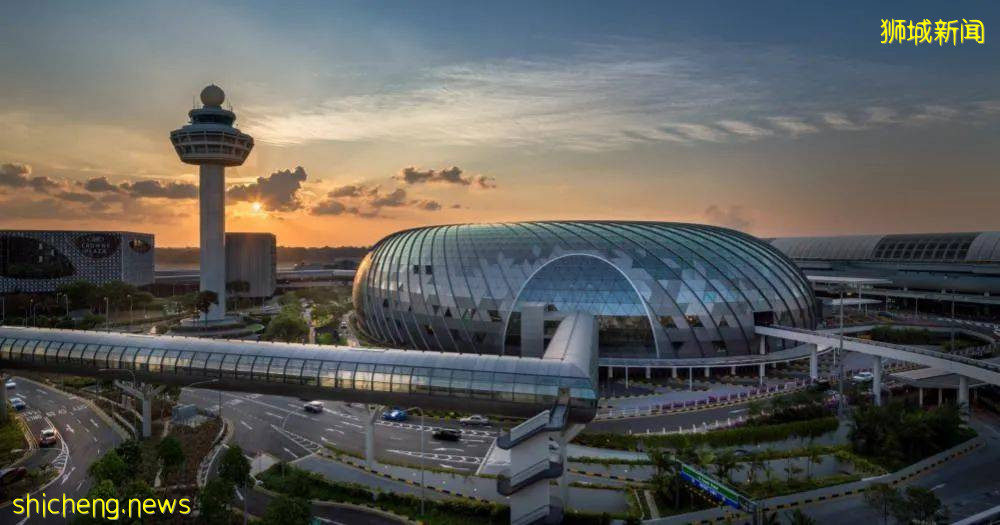 新加坡卫生部长手写稿流出，透露重大信息！一周后有望解封