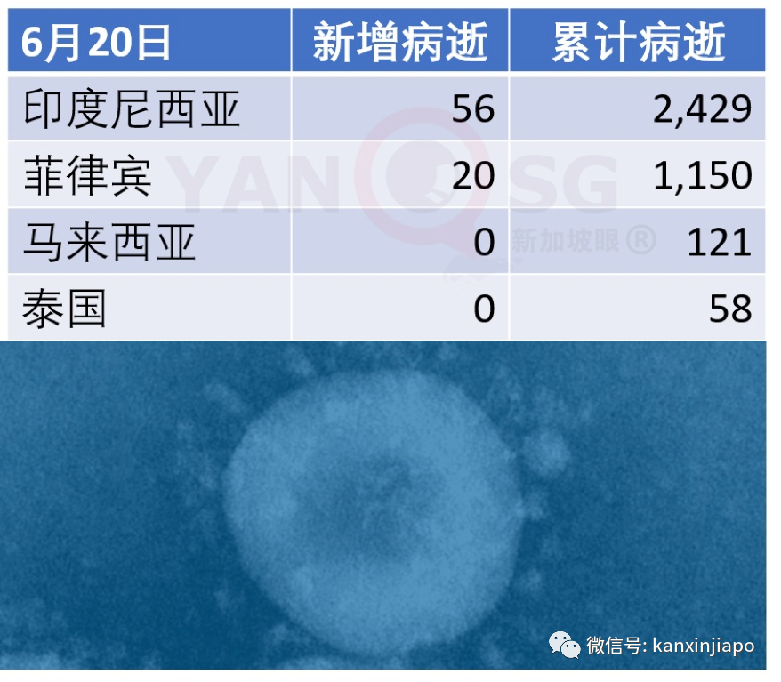 今增x，累计x | 报复性消费？新加坡小贩中心百人聚餐热聊，深夜豪饮砸酒瓶群殴