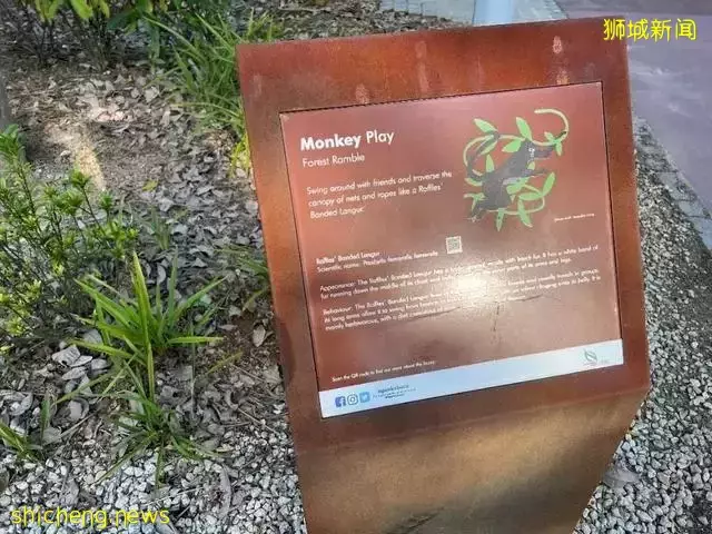 告別“塑料遊樂場”，看新加坡的公園如何诠釋“高大上”