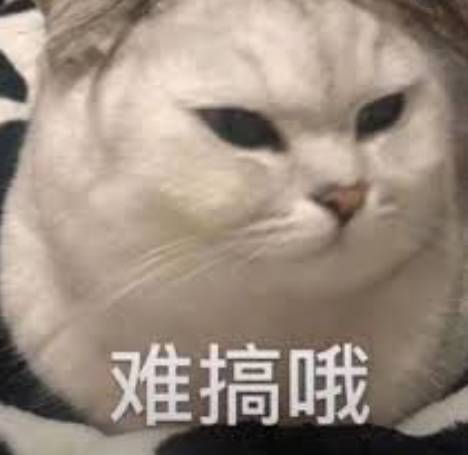 新加坡旅行氣泡官宣第二天，飛香港機票漲200+新幣