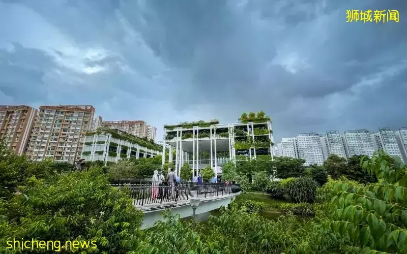 周二起放宽冠病措施 李总理吁人们继续履行个人责任