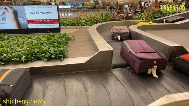 50张照片告诉你，“新加坡”有多么与众不同