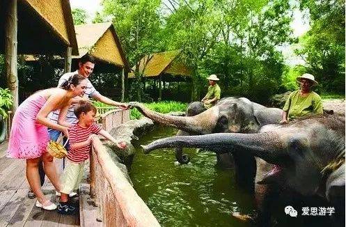 带小朋友来新加坡旅游的必去景点