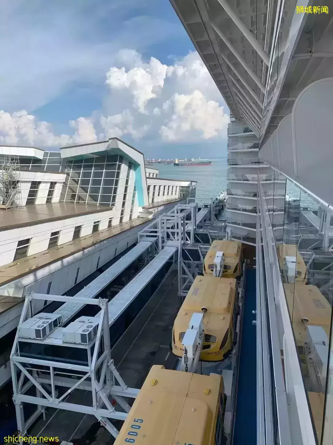 羡慕!一家四口5天4夜坐豪华邮轮免费,攀岩、冲浪、蹦极、跳伞,数不尽的美食和表演