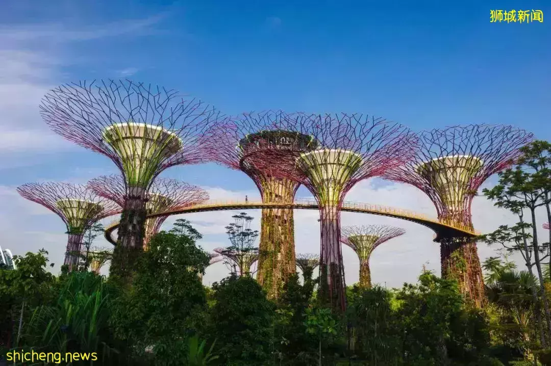 【新】买房攻略——新屋和二手公寓,如何选