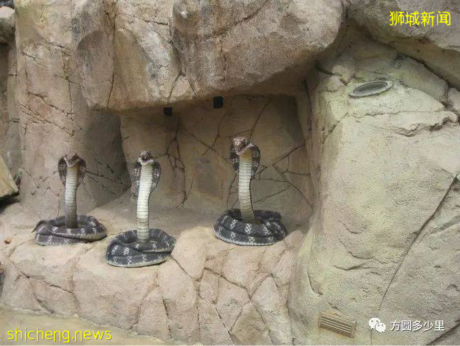 北緯1°，遇見新加坡