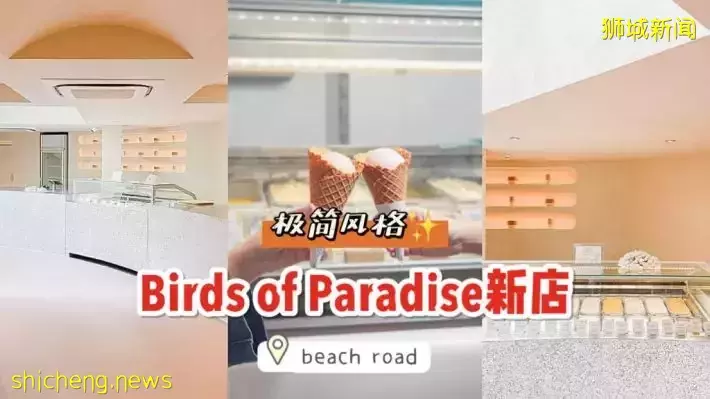 Birds of Paradise新店@Bugis，极简风装修、浮空树，真的太有创意啦