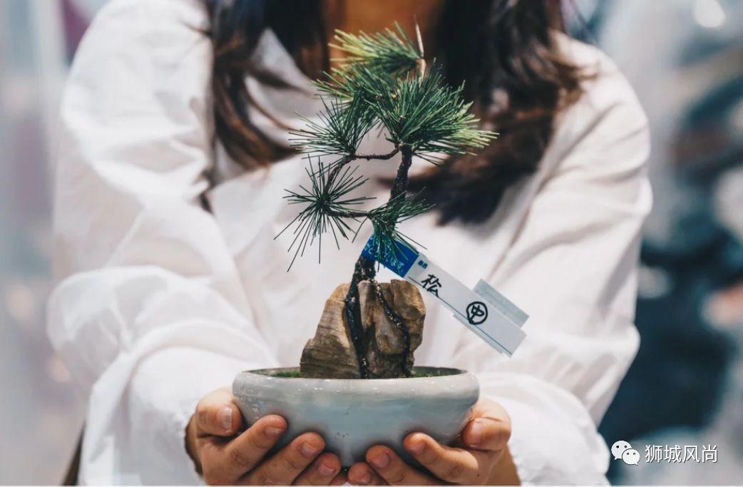 Get exclusive Japan Toys &amp; Stationery at Tokyu Hands